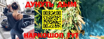 дмт Краснодар