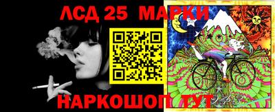 дмт Краснодар