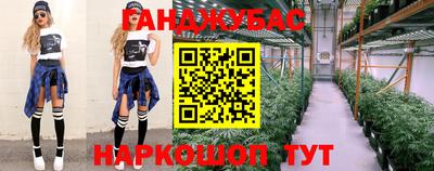 дмт Краснодар